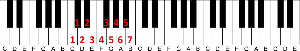 how to learn to play piano at home-7 different white keys and 5 different black keys on the keyboard