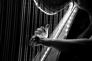 Arpeggios: A Fun Way to Learn Any Chord-harp